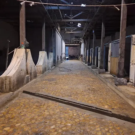 Casa de Férias Mas De Bonnafoux *