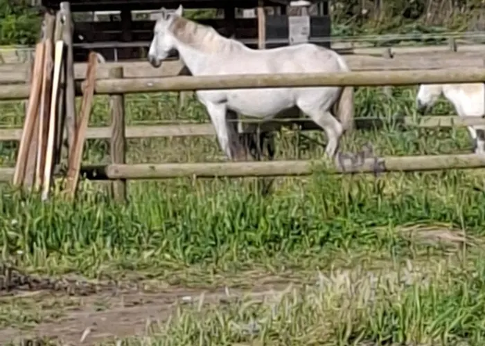 Mas De Bonnafoux Casa de Férias *